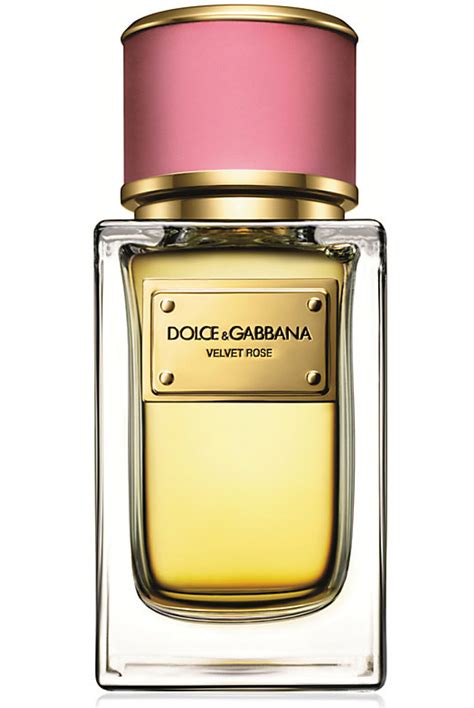 novo perfume dolce gabbana 2014|dolce and gabbana perfume original.